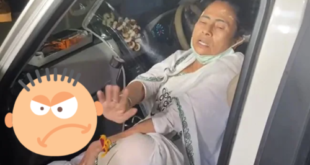 Mamata Banerjee Head Injury